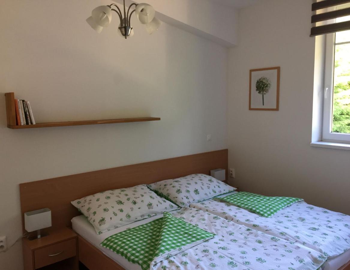 Apartman U Sjezdovky Вельке-Карловице Экстерьер фото